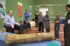 CESEFOR participa en la Jornada de Innovación de madera estructural de INNOTEK 2013