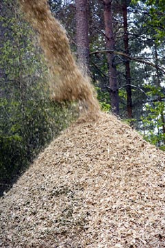 Aumenta la cuota de mercado de la biomasa en Europa