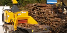 La cogeneracion con biomasa y el sector forestal vasco