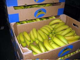 SMURFIT KAPPA desarrolla un nuevo embalaje de 8 kg de capacidad para el sector del plátano