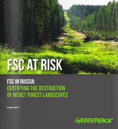 GREENPEACE lamenta que el FSC este certificando la destruccion de los bosques primarios en Rusia