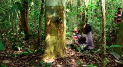 GRACO ayuda a tres comunidades de la selva amazonica en Peru a elaborar madera con certificacion FSC
