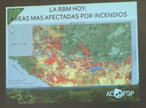 Donde hay manejo forestal de las comunidades locales no existe deforestación. Sin embargo, donde dicho manejo no existe (áreas en rojo), existen zonas deforestadas.