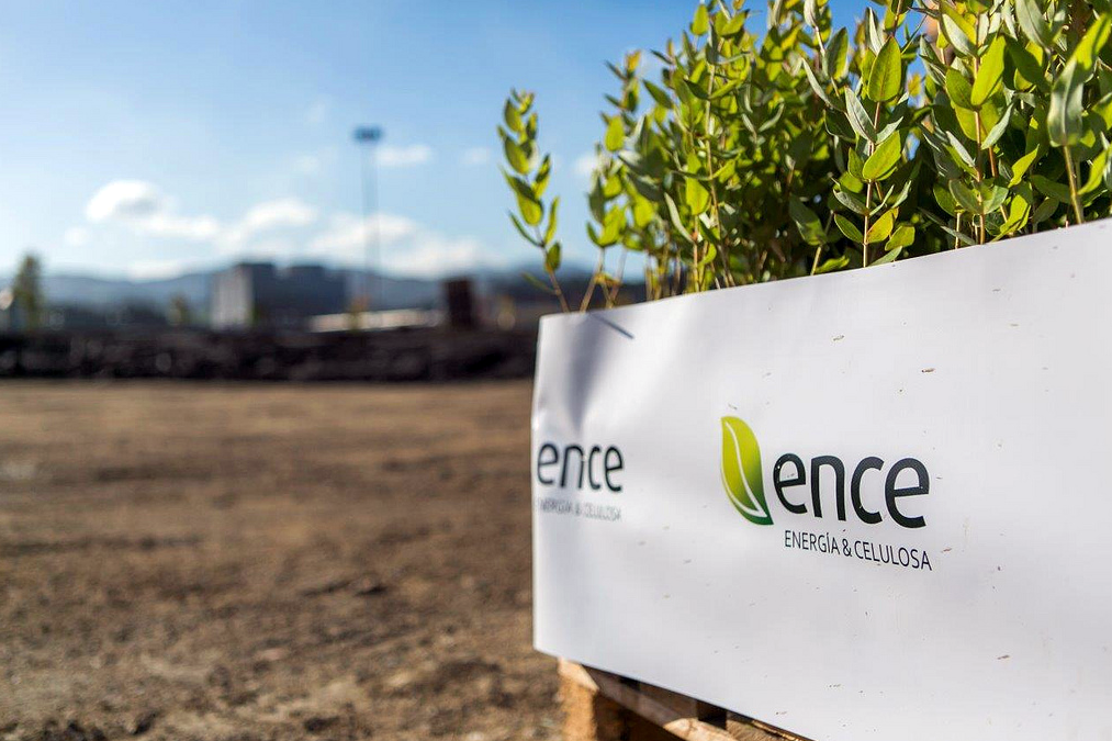 Aprobada la licencia de obras de la planta de biomasa de ENCE en Puertollano
