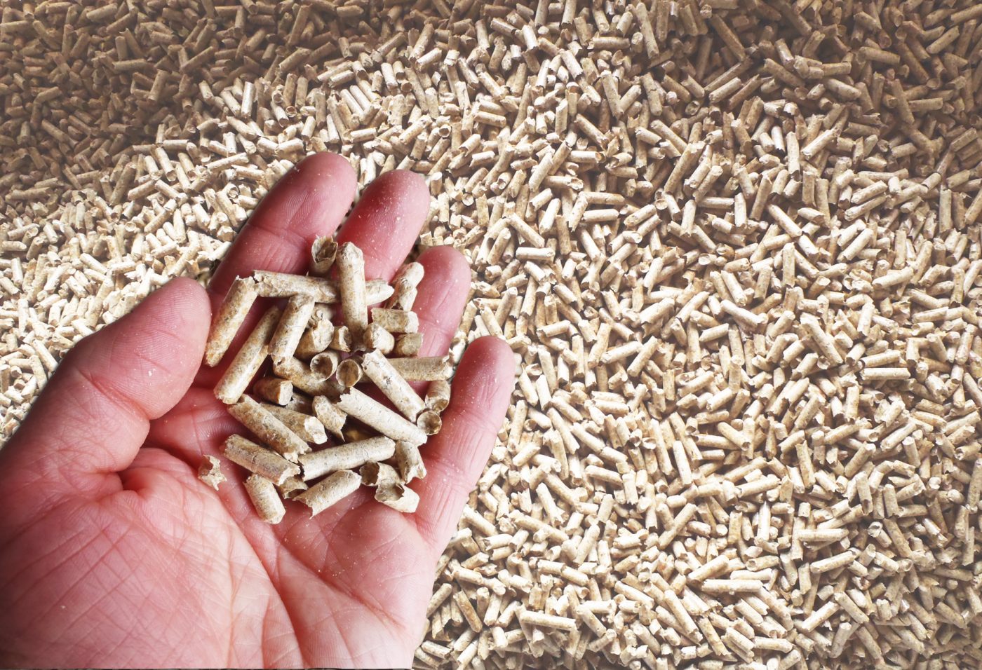 La estabilidad de los precios del pellet dispara el uso de la biomasa como combustible de la calefacción doméstica