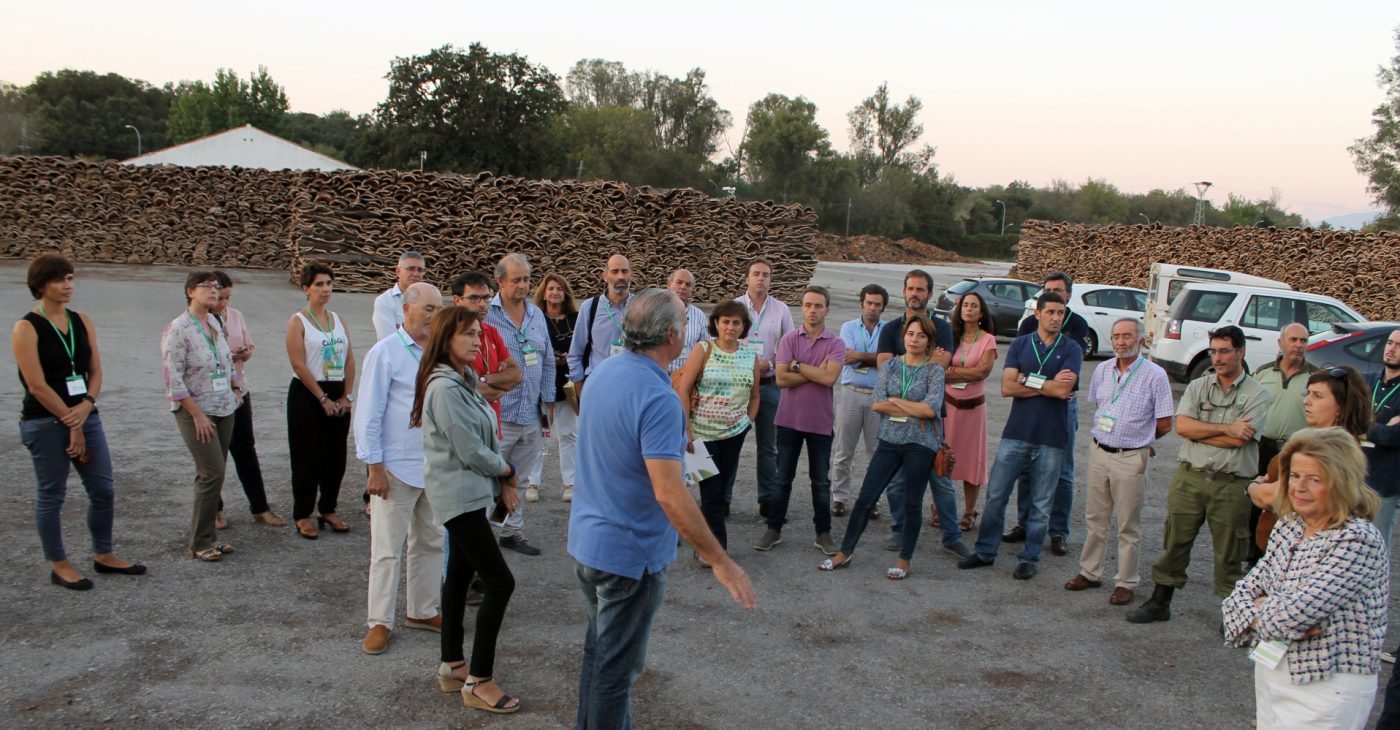 Jornada técnica sobre el presente y futuro del sector corchero andaluz