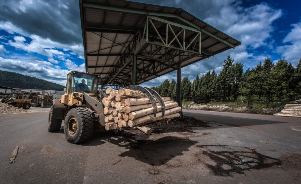 En el tercer trimestre del año se licitó más madera, pero de menor valor económico