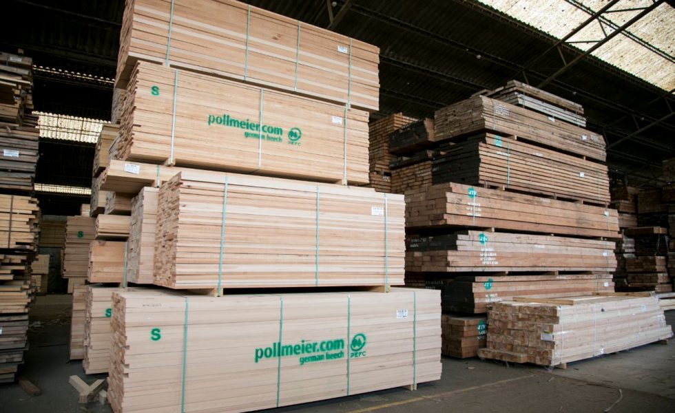 GABARRO da un paso más en la comercialización de maderas certificadas y potencia las especies locales