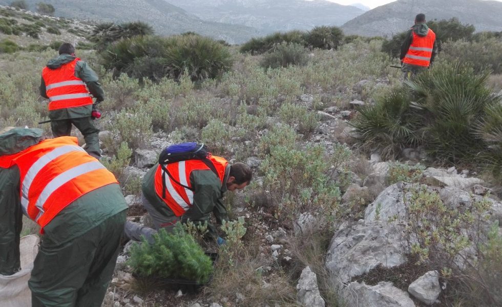 CSIT apuesta por mejoras en las condiciones de los Agentes Forestales de Madrid