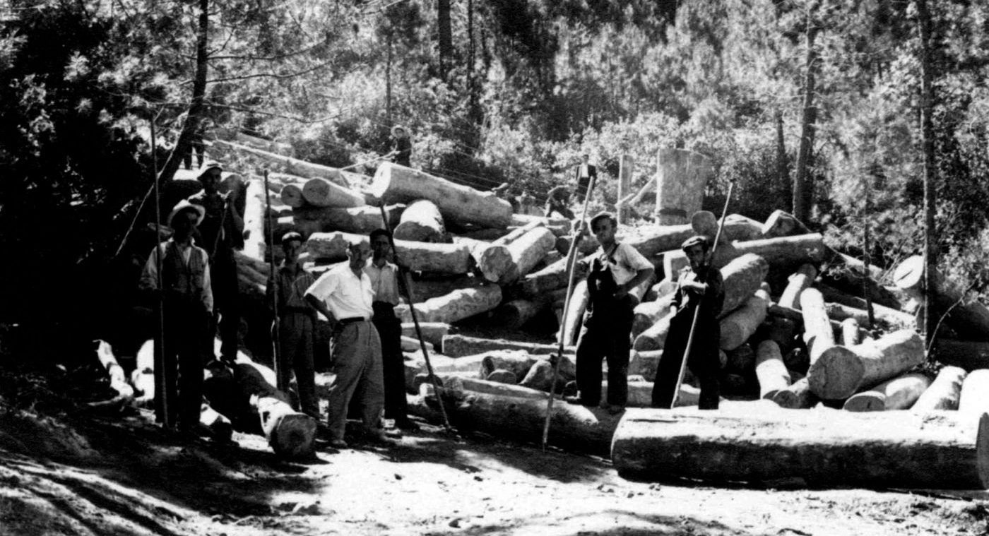 Los forestales dieron su diploma de honor a RENFE y al Centro Forestal de Islas Baleares