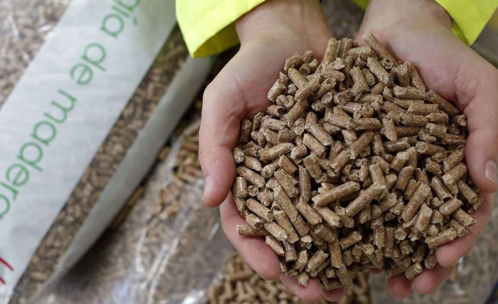 FORESTALIA consolida en Erla la mayor planta nacional de producción de pellets