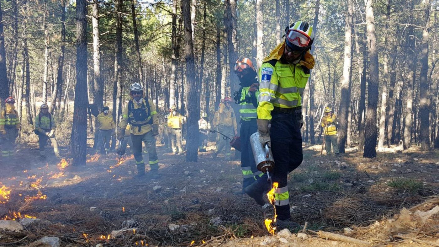 Castilla-La Mancha ofrece nuevas ayudas para tratamientos selvícolas