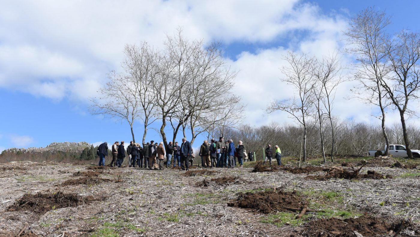 La Asociación Forestal de Galicia organiza un curso sobre gestión forestal para propietarios y gestores forestales