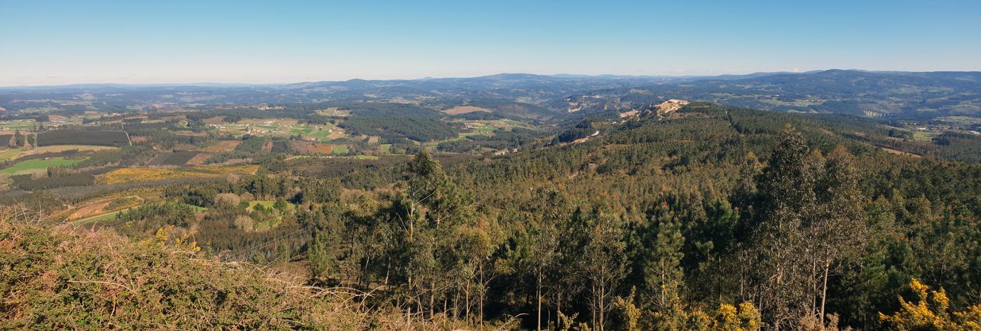 Los bosques son vitales para España