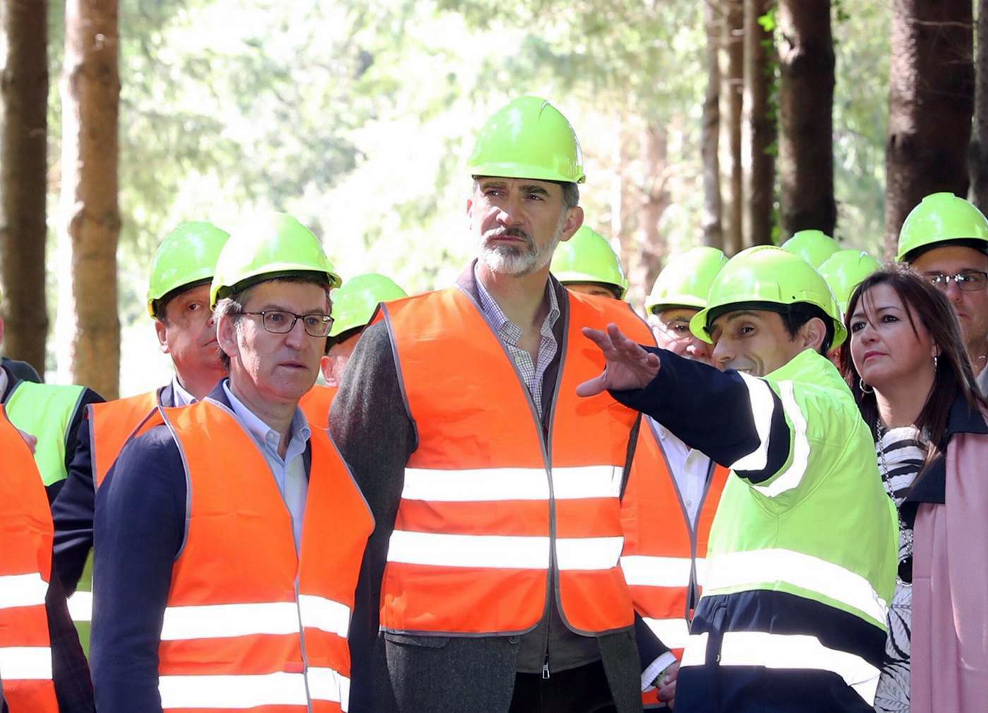 La educación es un medio indispensable para aprender a amar el bosque