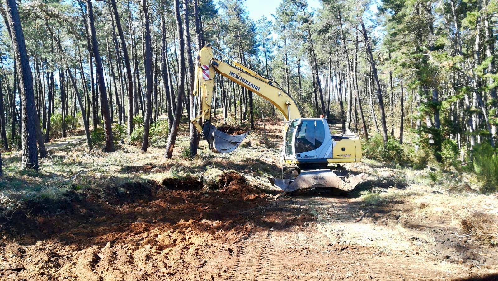 El monte Armayán se acondiciona para acoger ASTURFORESTA