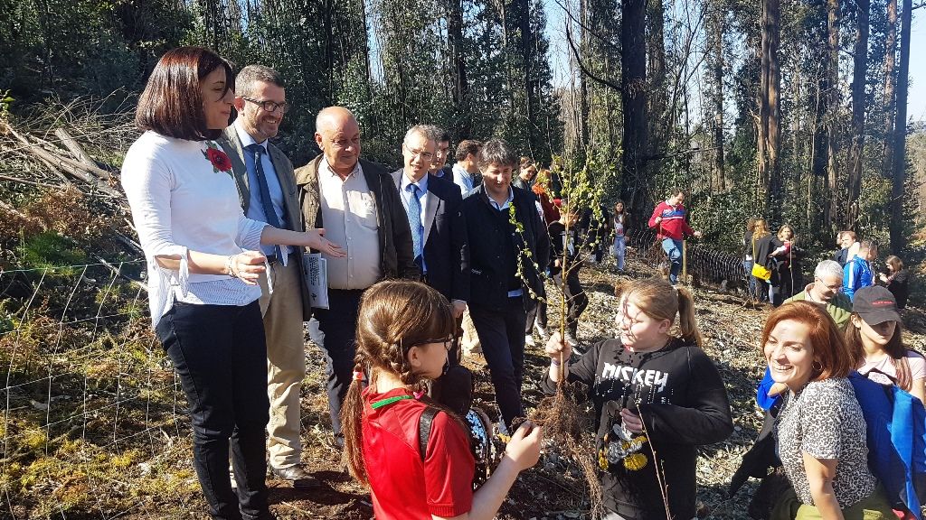 FSC promueve la reforestación de un monte en Galicia