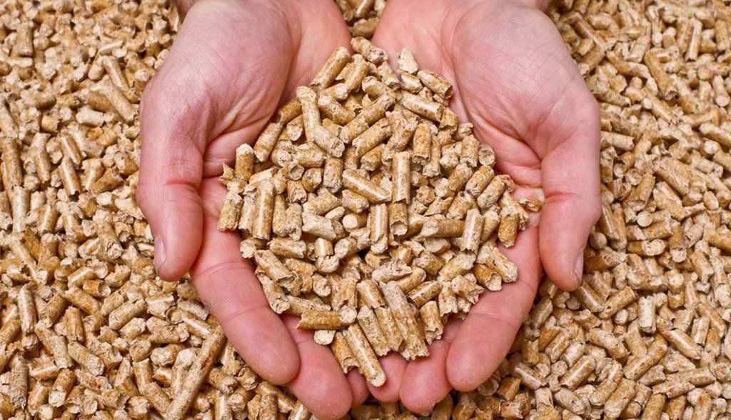 La producción de pellet doméstico superará este año las 700.000 toneladas