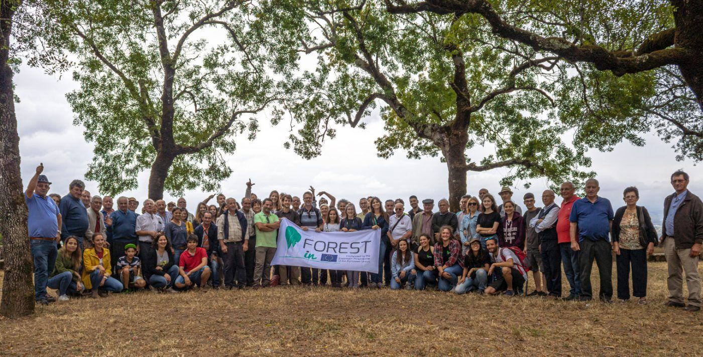 Más de 700 silvicultores capacitados en FOREST-IN