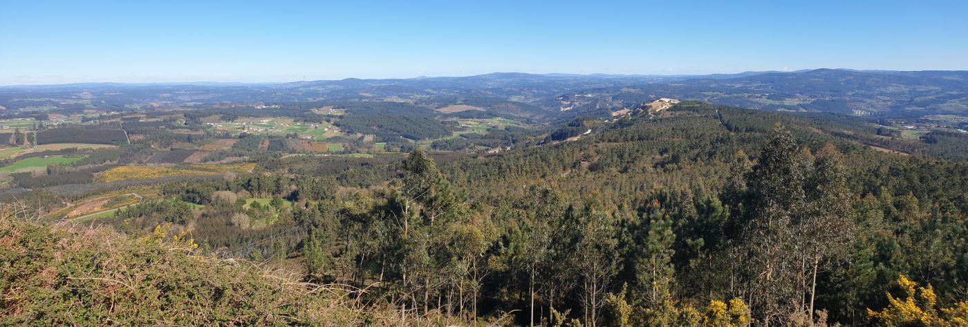 Necesitan nuestra ayuda, SOS de los bosques