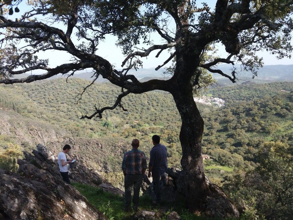 FSC organiza los primeros cursos para calcular los beneficios al ecosistema de los bosques españoles