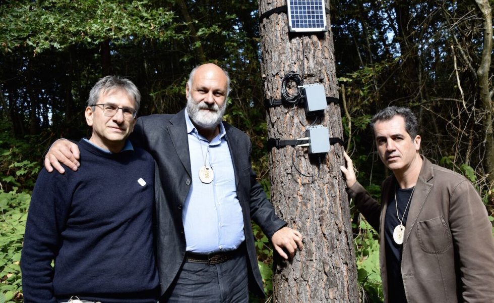 Un bosque en Italia cuenta el cambio climático