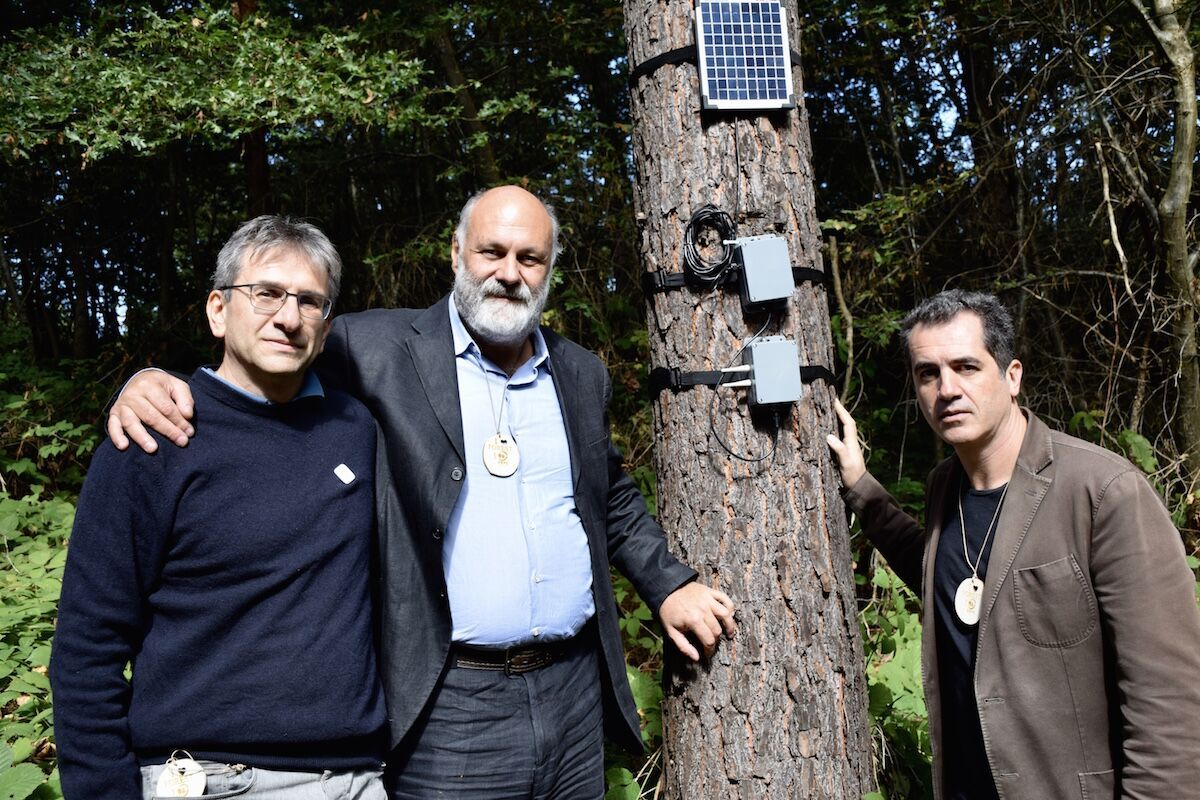 Un bosque en Italia cuenta el cambio climático