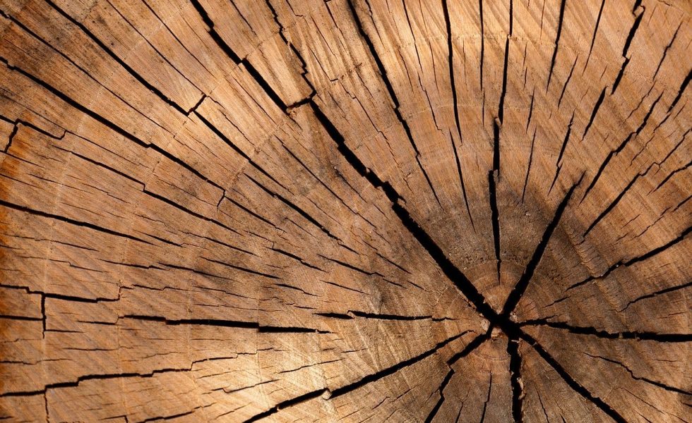 ¿Qué tipos de sierras existen para madera?