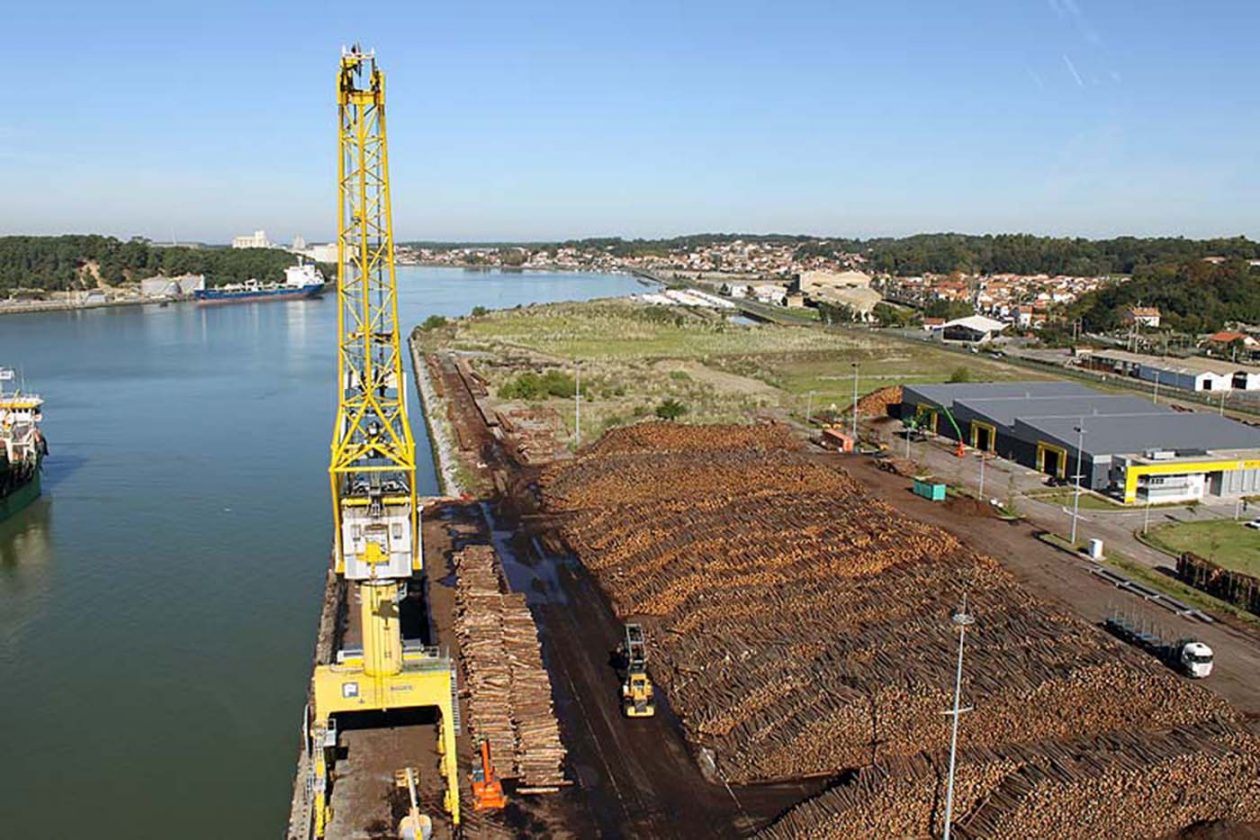 El puerto de Baiona presenta su potencialidad para la madera a ADEMAN