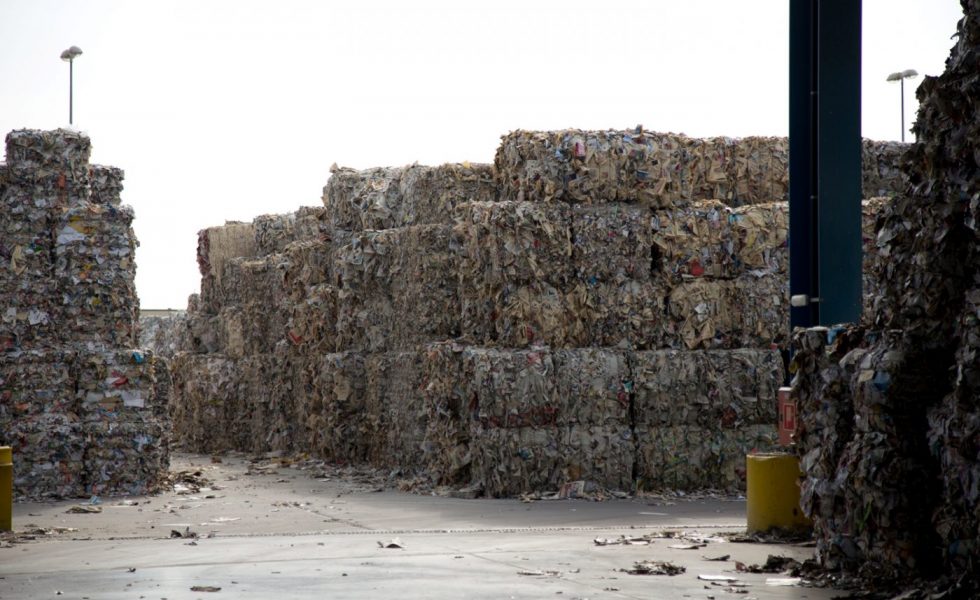 El 97% de la madera y el 71% del papel para reciclar son de procedencia local