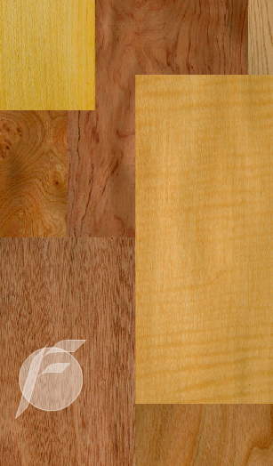 CHAFERSA: Chapas y lupas de maderas europeas, americanas y africanas -  Madera sostenible es un periódico digital para la industria española de la  madera y el mueble