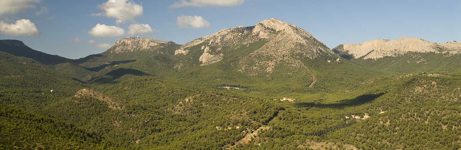 El Foro de Bosques y Cambio Climático organiza una jornada sobre el Proyecto LIFE FOREST CO2