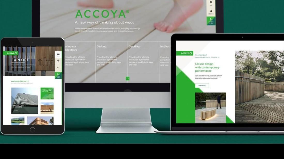 Nuevo sitio web de ACCOYA®