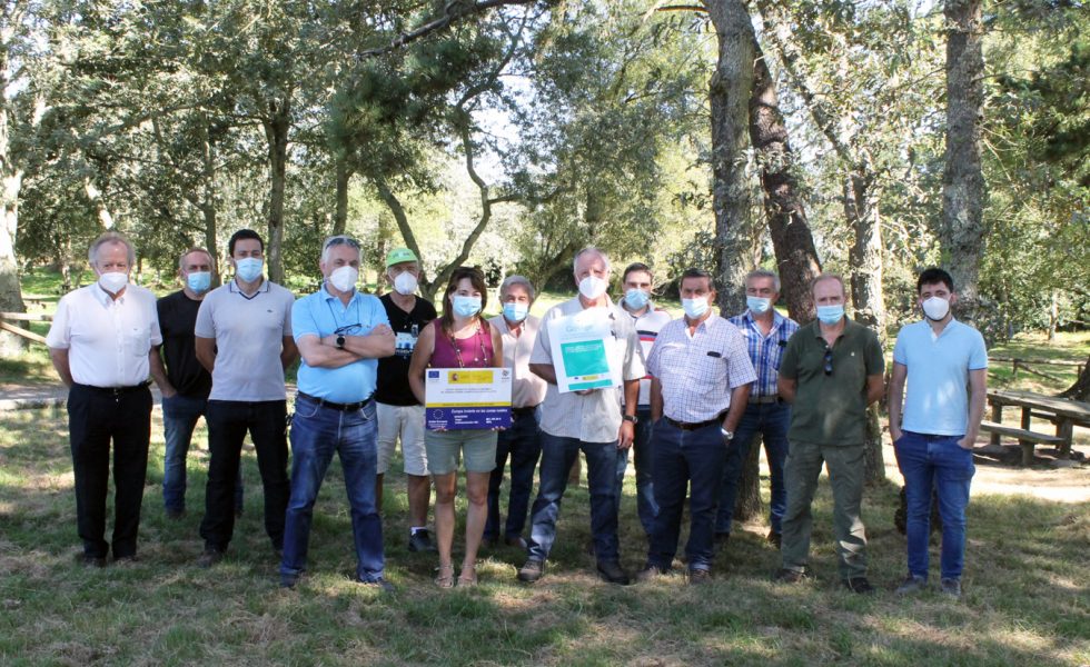 Mejora la situación del eucaliptal asturiano gracias al tratamiento biológico