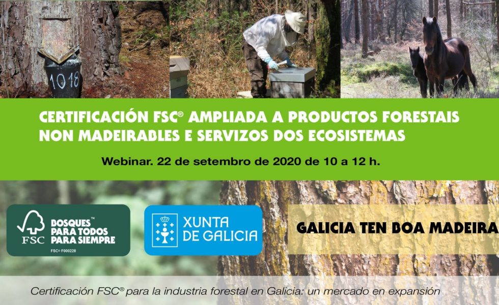FSC organiza un webinar para difundir la gestión forestal sostenible en Galicia
