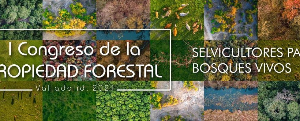FAFCYLE organizará en 2021 en Valladolid el I Congreso de Propiedad Forestal de España