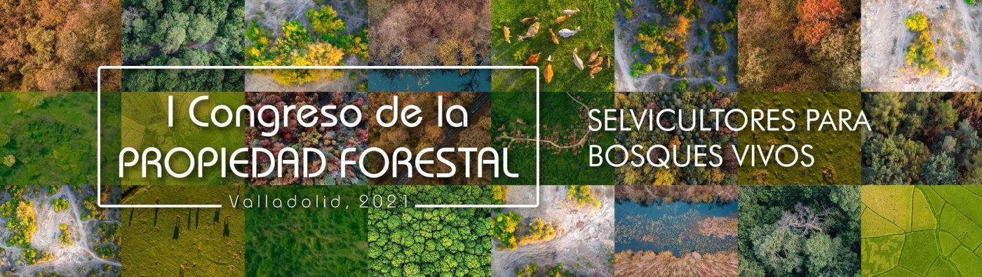 FAFCYLE organizará en 2021 en Valladolid el I Congreso de Propiedad Forestal de España