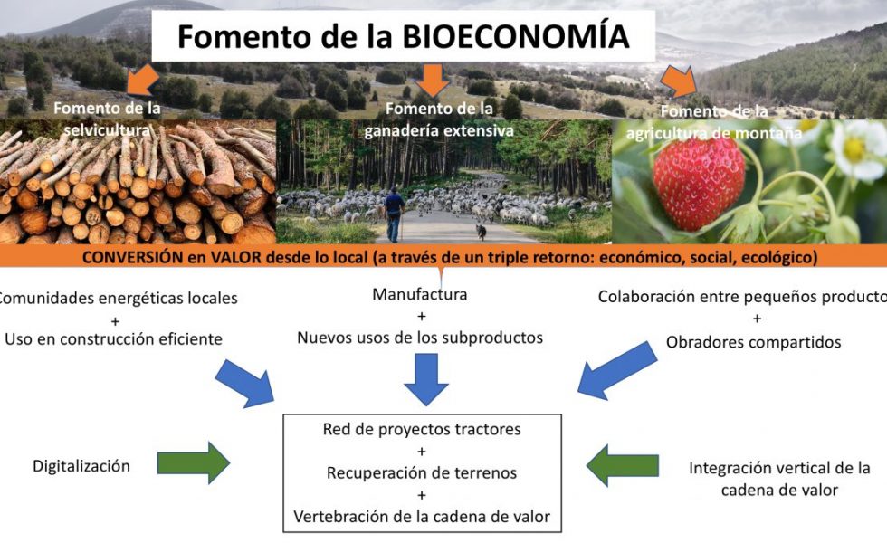 Presentan un proyecto para la recuperación económica de los municipios forestales de Soria