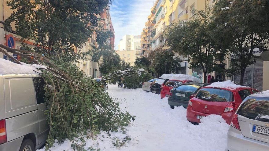 FILOMENA destruyó el 12% de la masa arbórea de la ciudad de Madrid
