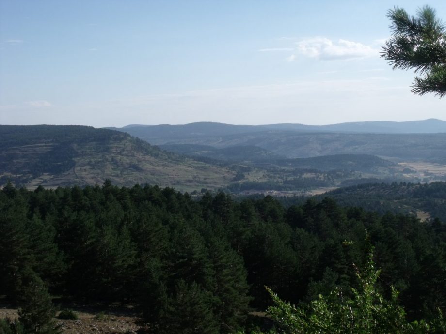 El taller de empleo forestal de la Alta Sierra de Montes Universales  acondiciona caminos, fuentes y