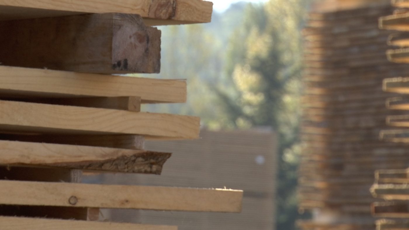 FAPROMA y la UPM analizan los precios de la madera aserrada para embalaje