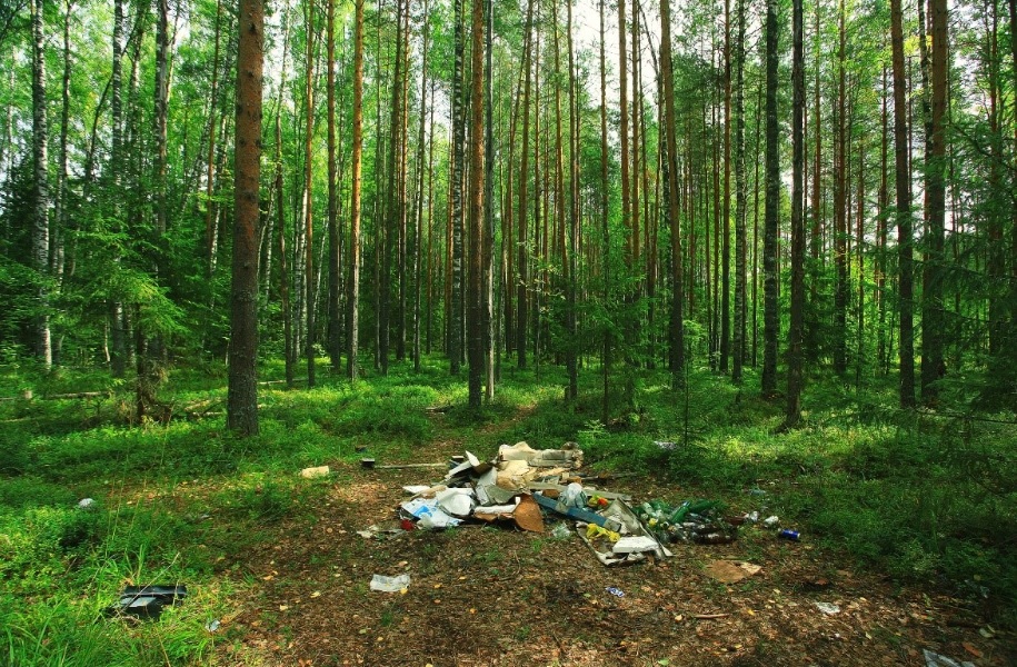 FSC España se une al Proyecto LIBERA para luchar contra la basuraleza en los bosques