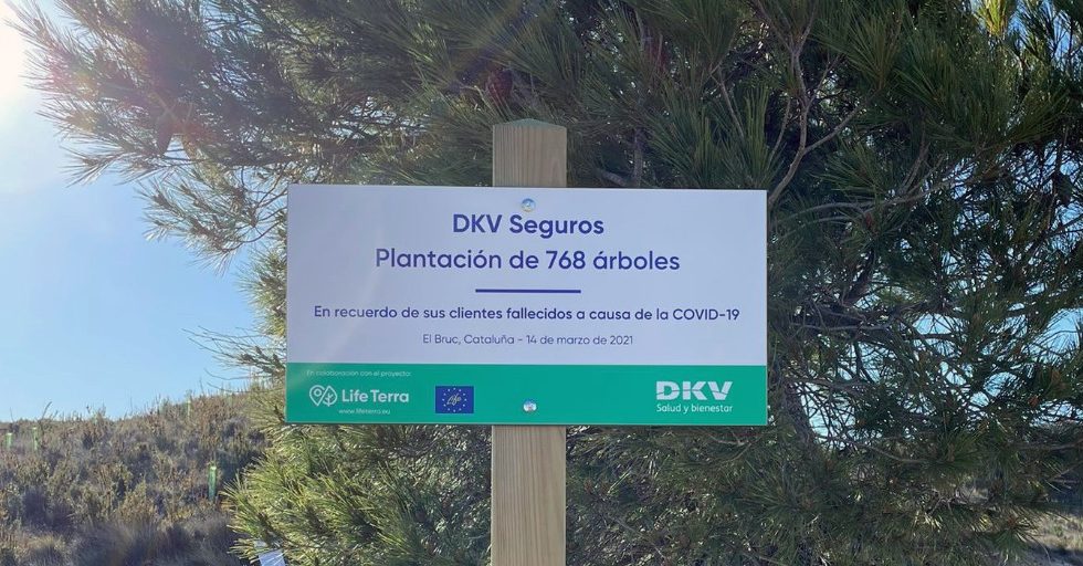 DKV crea el primer bosque memorial por la Covid-19