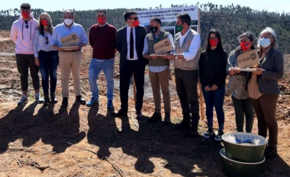 FSC y CARREFOUR promueven la reforestación de un monte incendiado en Huelva