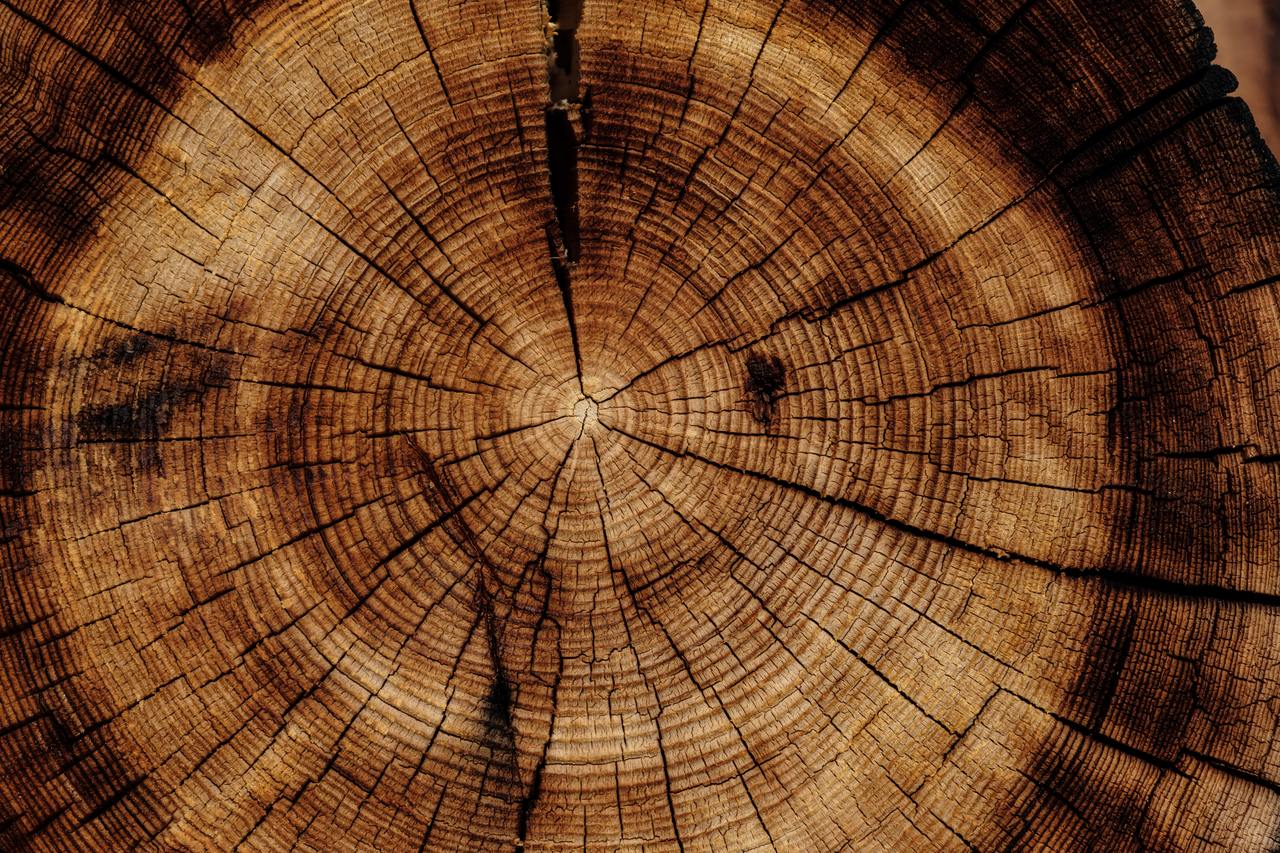 La gestión eficiente de recursos en la industria de la madera