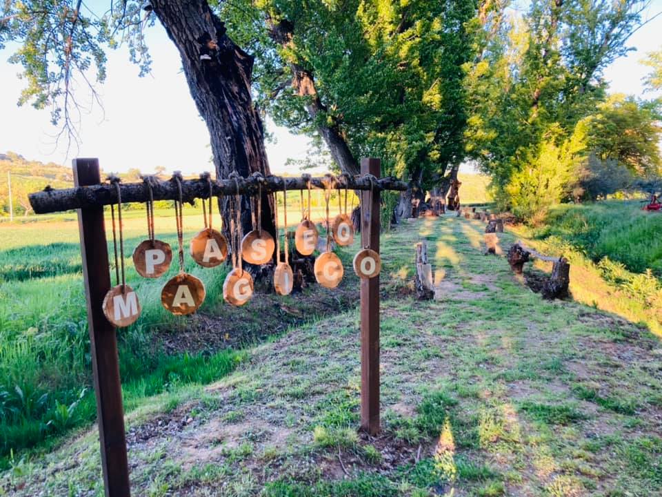 Arbancón muestra el encanto de los chopos en un Paseo Mágico