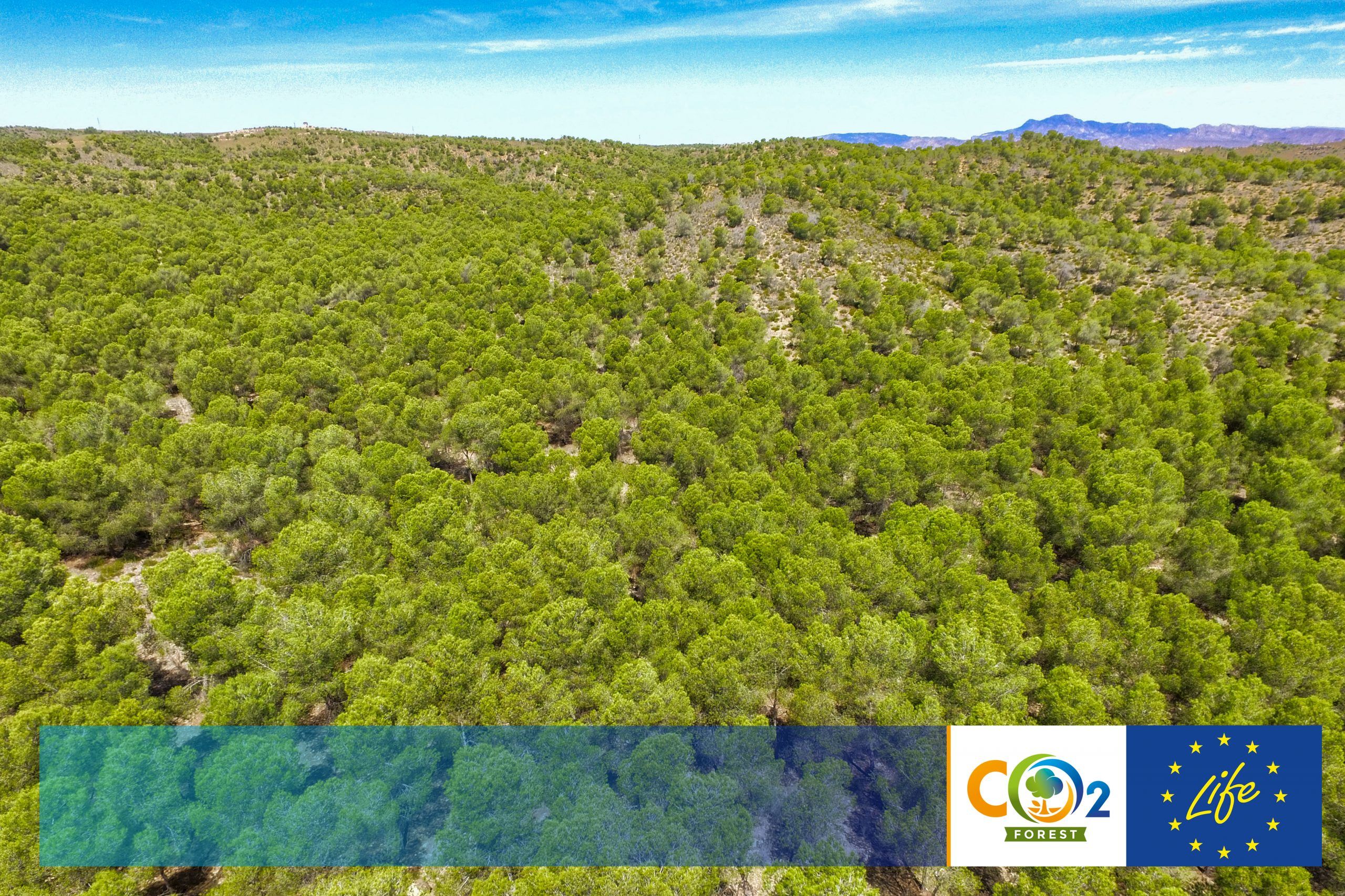 El proyecto LIFE FOREST CO2 amplía su camino hasta junio de 2021