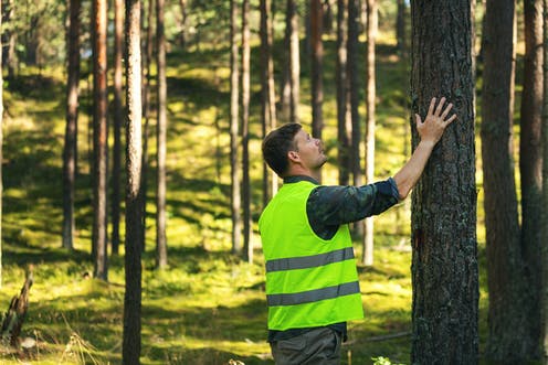 La gestión de los bosques, clave en la lucha contra el cambio climático