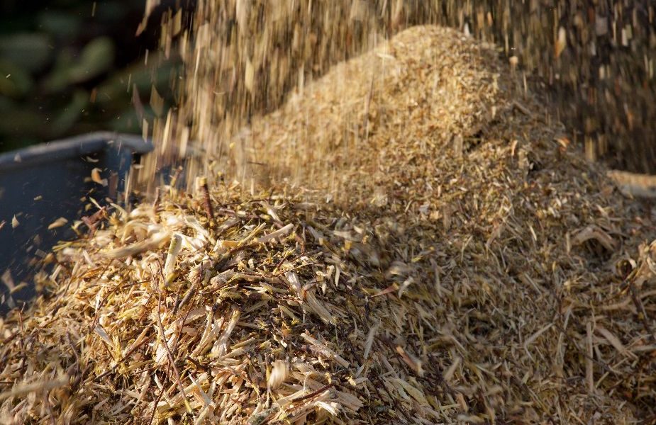 España tiene biomasa para calentar muchos hogares de forma segura, económica y limpia