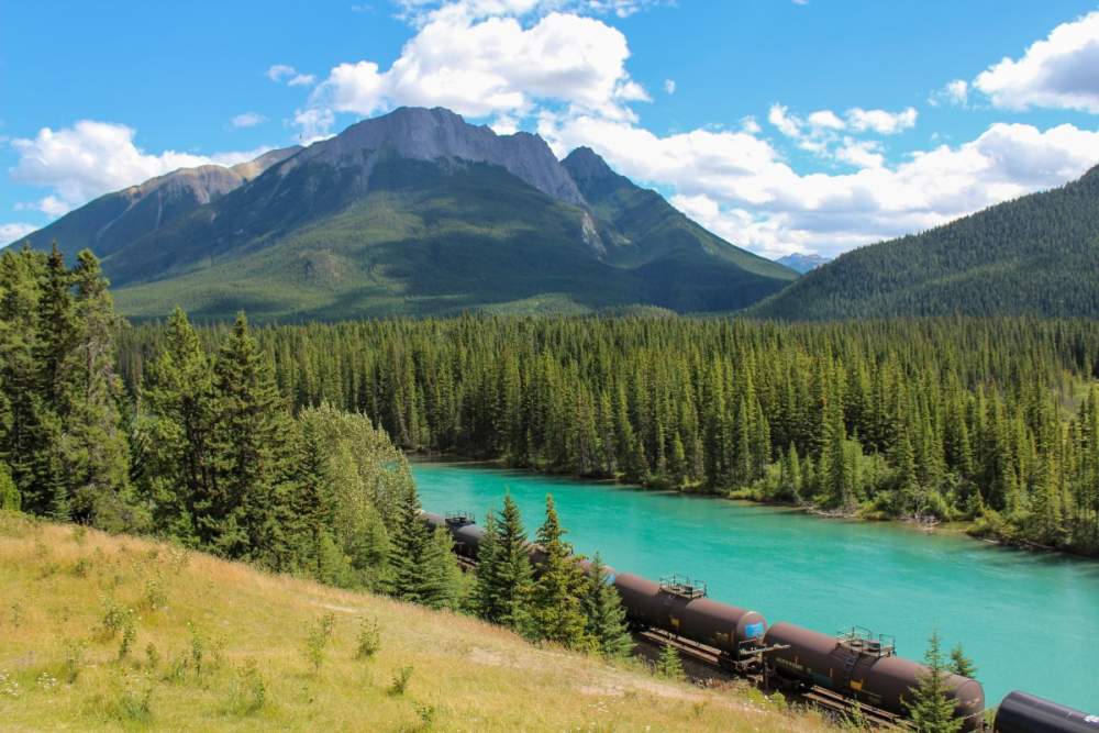 Canadá y España exploran vías de colaboración en el sector de la bioeconomía